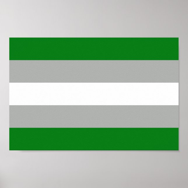 Greyromantischer Stolz Poster (Vorne)