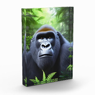 Greyson The Male Gorilla, Foto Block