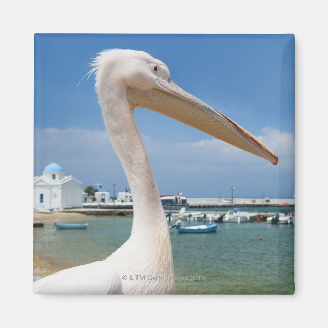 Griechenland, Cyclades Islands, Mykonos, Pelican Magnet (Vorne)
