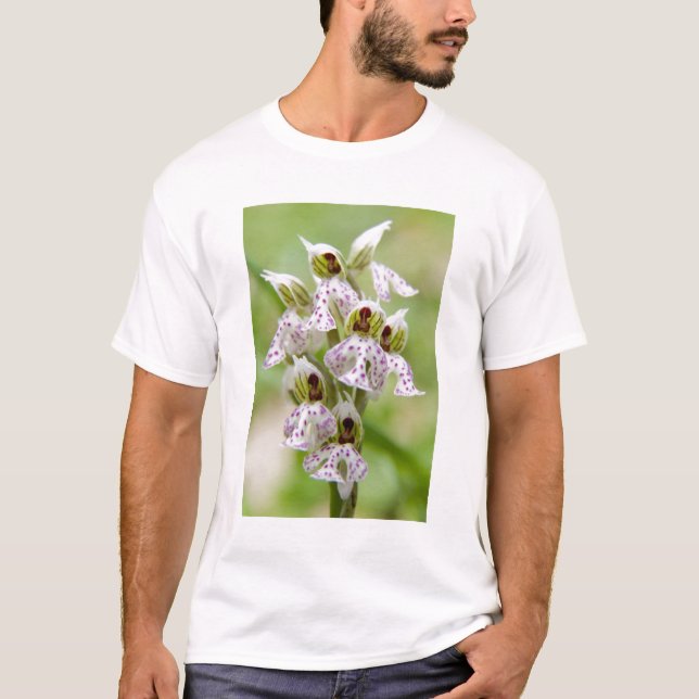 Griechenland, Kreta. Orchid in Blüte Orchis T-Shirt (Vorderseite)