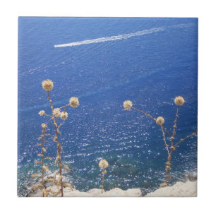 Griechisch-Blaue Keramik Fliese