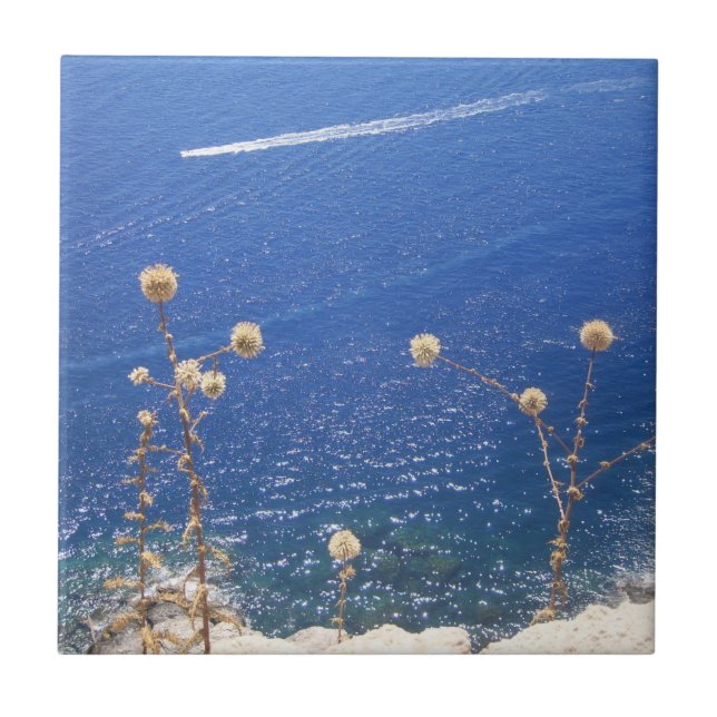 Griechisch-Blaue Keramik Fliese (Vorderseite)