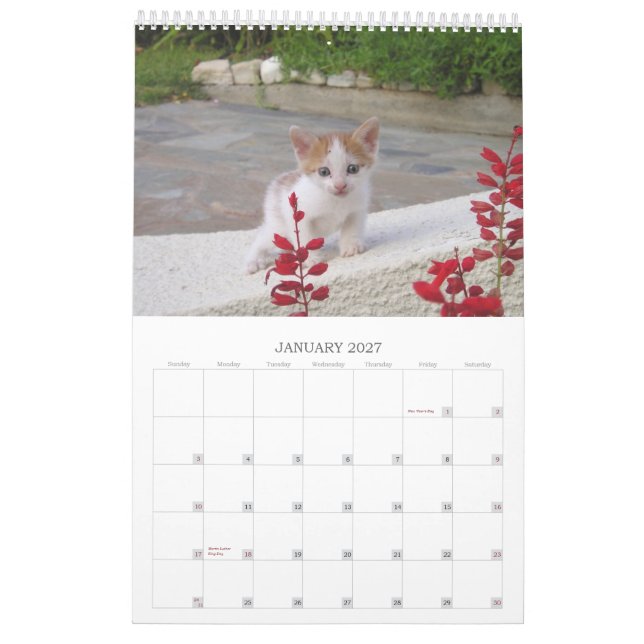 Griechische Katzen Kalender (Jan 2027)