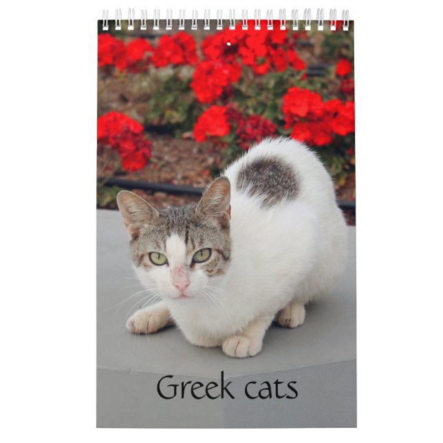 Griechische Katzen - Schnappschüsse der kleinen Ge Kalender (Titelbild)