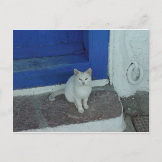 Griechische Kitty Postkarte (Vorderseite)