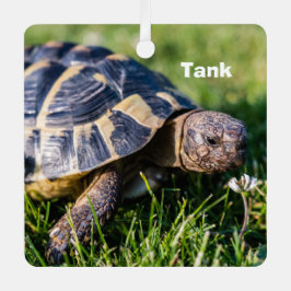 Griechische Schildkröte im Gras Ornament Aus Metall