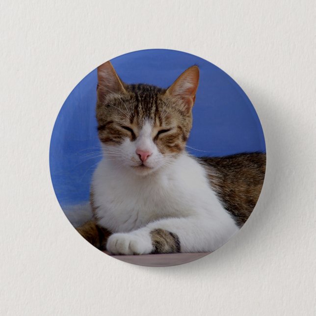 Griechischer Katzenknopf Button (Vorderseite)