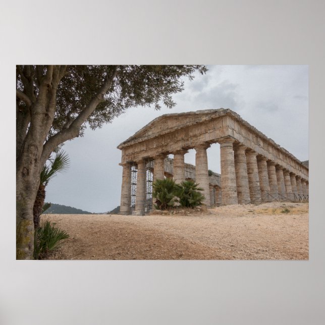 Griechischer Tempel in Segesta, Sizilien Poster (Vorne)