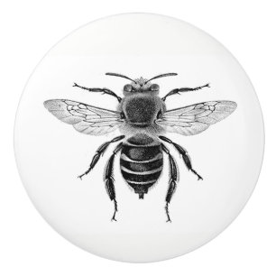 Griff der Bienen-10