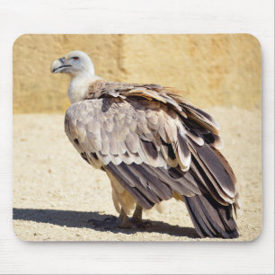 Griffon-Geier auf dem Boden-Postkartenmetall-Ornam Mousepad