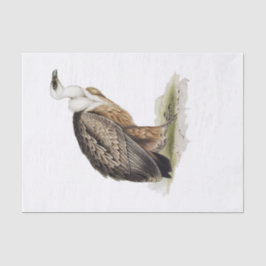 Griffon Vulture Decoupage Seidenpapier