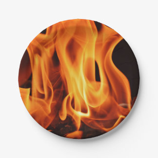 GRILLEN Grill-Feuer-Flammen Pappteller