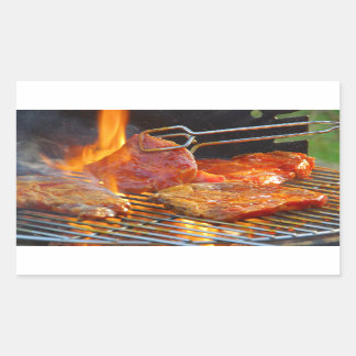 Grillen Rechteckiger Aufkleber