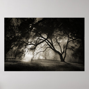 GRIMMs WALDPoster Poster