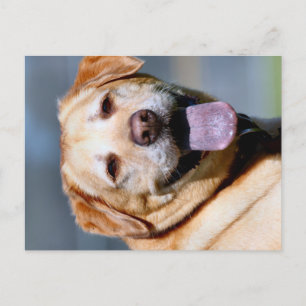 Grin Postkarte