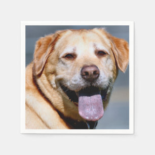 Grin Serviette