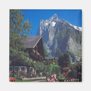 Grindelwald, Jungfrau Magnet
