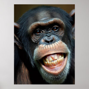 Grinning Chimpanze Poster