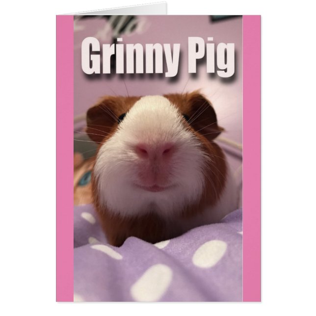 Grinny Schwein (Vorne)
