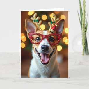 Grinsendes Hündchen in roter Brille Weihnachtskart Karte