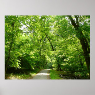 Grist Mill Trail I Poster