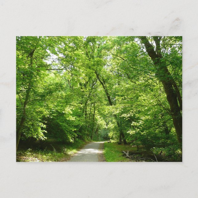 Grist Mill Trail I Postkarte (Vorderseite)