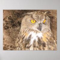 Gritty Eagle Owl