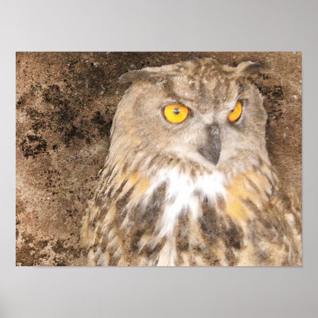 Gritty Eagle Owl Poster (Vorne)