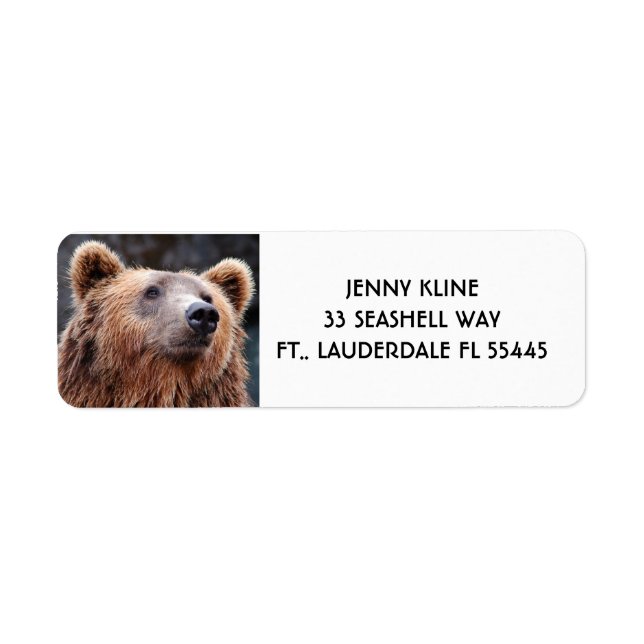 GRIZLY BEAR Rücksendeadressen-Aufklebers (Vorne)