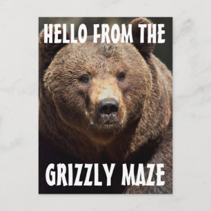 GRIZLY MAZE GRIZZLY BEAR POSTCARDS POSTKARTE