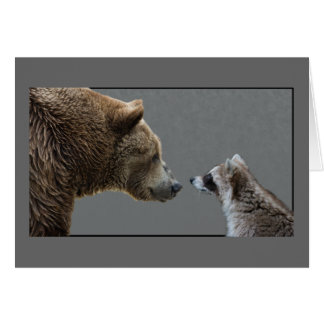 Grizzle Bear trifft Raccoon