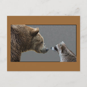 Grizzle Bear trifft Raccoon Postkarte