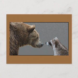 Grizzle Bear trifft Raccoon Postkarte