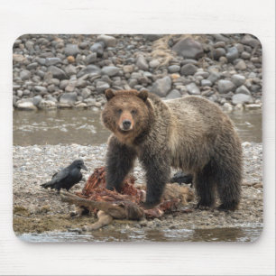 Grizzles Bären und Raven Mouse Pad Mousepad