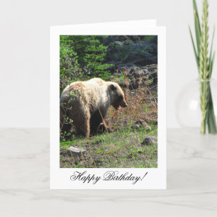 Grizzles Bärenlächeln; Happy Birthday Karte