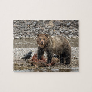 Grizzles Bärenpuzzle Puzzle