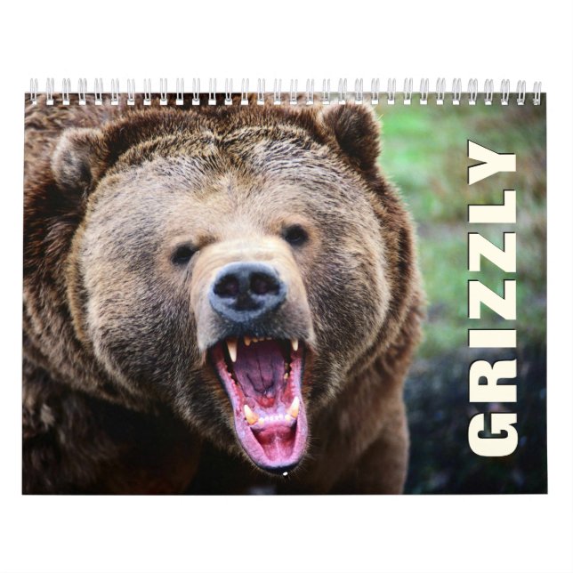 Grizzles Bears Wall Calendar Kalender (Titelbild)
