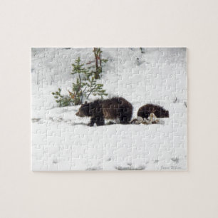 Grizzles im Schnee Puzzle