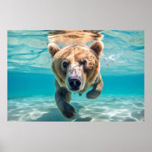 Grizzly Bär Animal Fun Natlaying Poster
