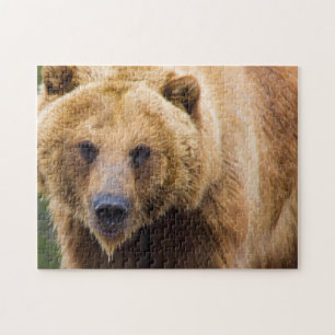 Grizzly-Bär nah genug Puzzle