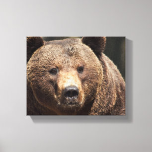 GRIZZLY BÄREN FOTOGRAFIE WRAPPED CANVAS LEINWANDDRUCK