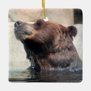 Grizzly Bären spielen im Wasser Keramikornament