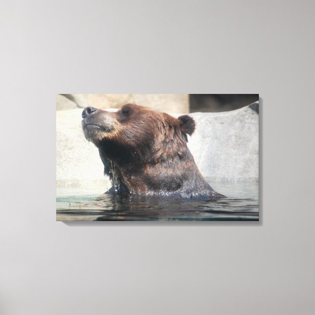 Grizzly Bären spielen im Wasser Leinwanddruck (Vorderseite)