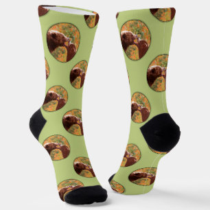 Grizzly Bärenmutter und Cub Painting Art Socken