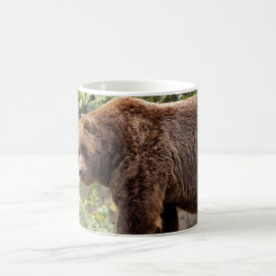 grizzly-bear-001 tasse