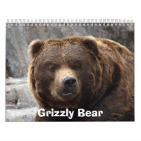 grizzly-bear-017, Grizzlybär