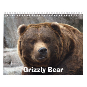 grizzly-bear-017, Grizzlybär Kalender