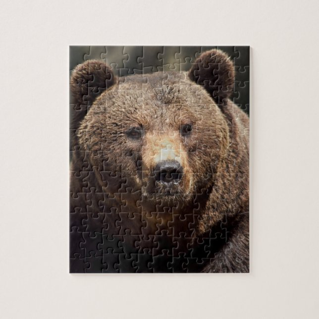 GRIZZLY BEAR 8X10 JIGSAW Puzzle (Vertikal)