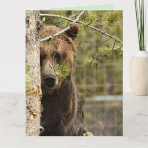 GRIZZLY BEAR BIRTHDAY GIANT GREETING CARDS KARTE