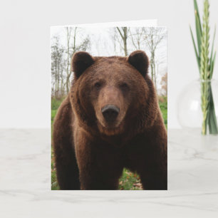 GRIZZLY BEAR FOTOGRAFIE BIRTHDAY CARD KARTE